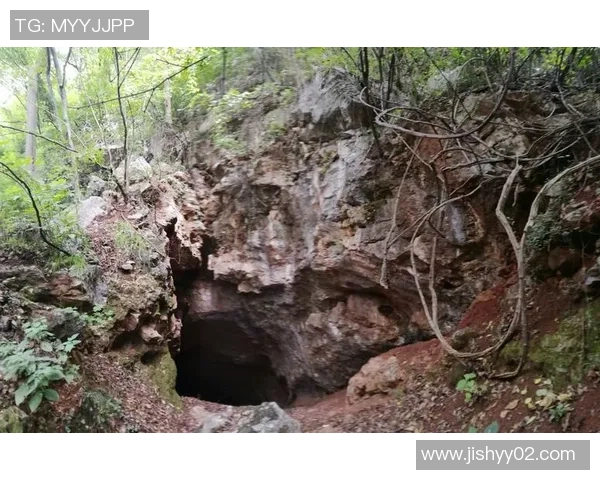 张丽的攀岩人生：在高峰之上与自我的深度对话与探索